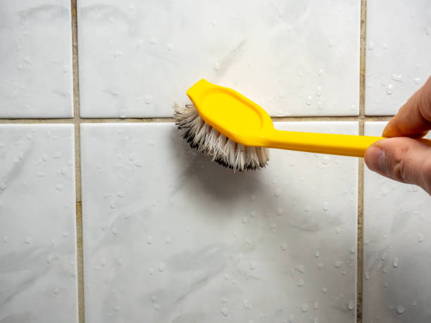 Mold Testing and Removal in Del Monte Forest, CA