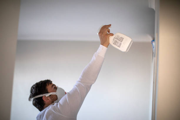 Certified Mold Removal in Del Monte Forest, CA