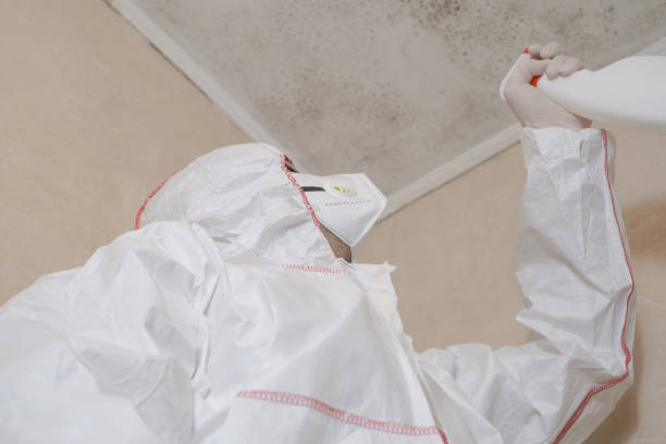 Best Mold Testing  in Del Monte Forest, CA