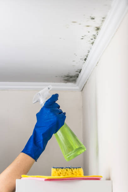 Best Water Damage Restoration  in Del Monte Forest, CA